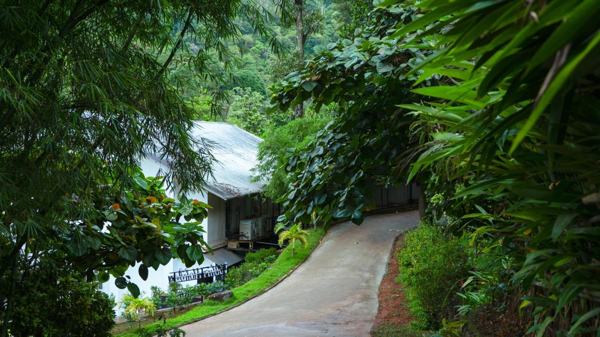 Vythiri Holiday Resort, Wayanad Exterior foto
